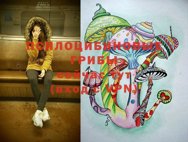 2c-b Алексеевка