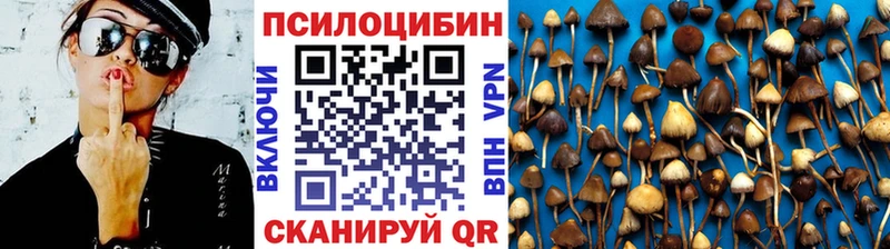 Псилоцибиновые грибы Psilocybine cubensis Камешково